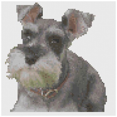 Cross Stitch Pattern by Florashell - Miniature Schnauzer Dog
