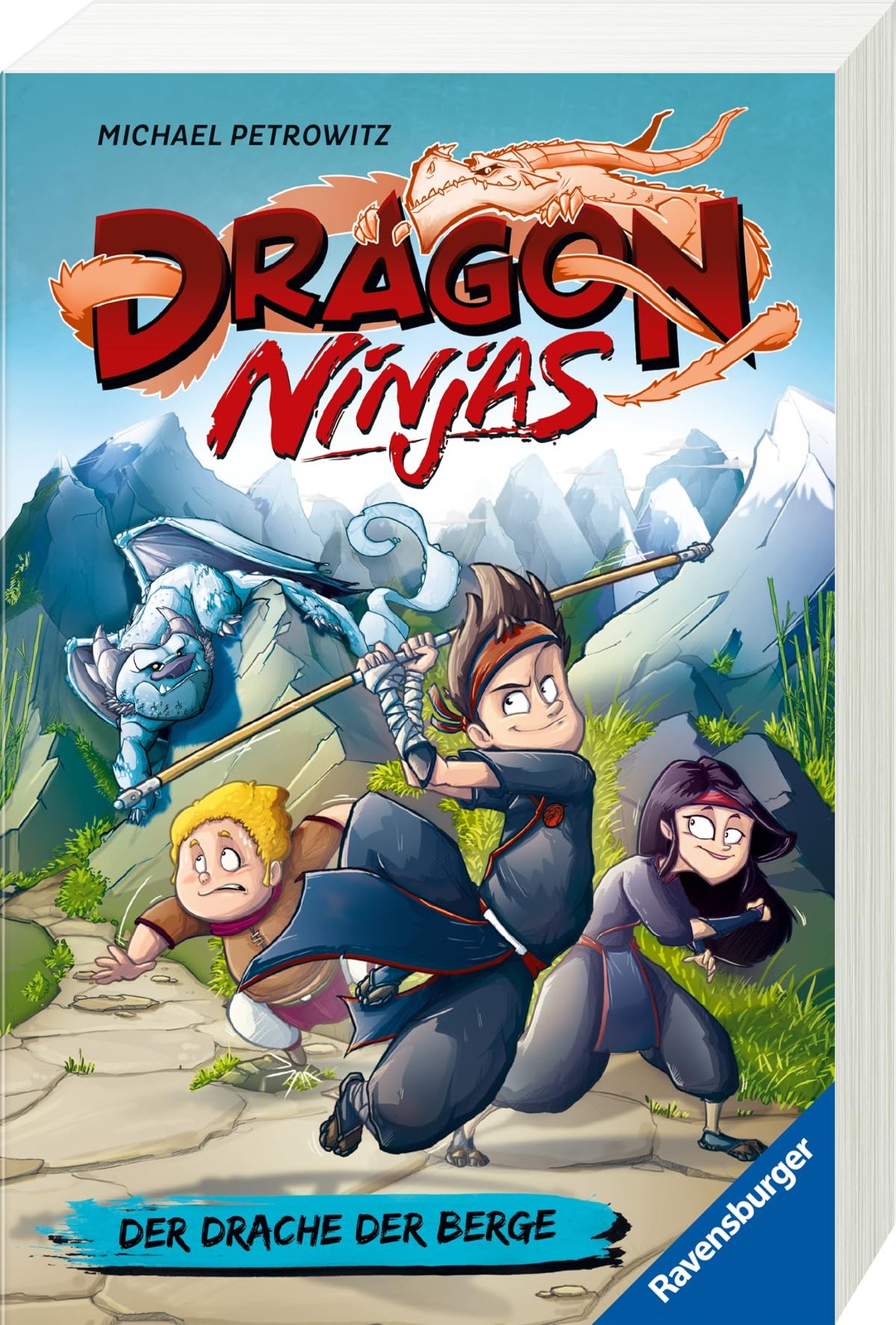 Michael Petrowi Dragon Ninjas, Band 1: Der Drache der Berge - Drache (Tascabile)