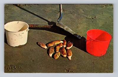 WA-Washington, Famous Razor Clams, Antique, Vintage Souvenir Postcard