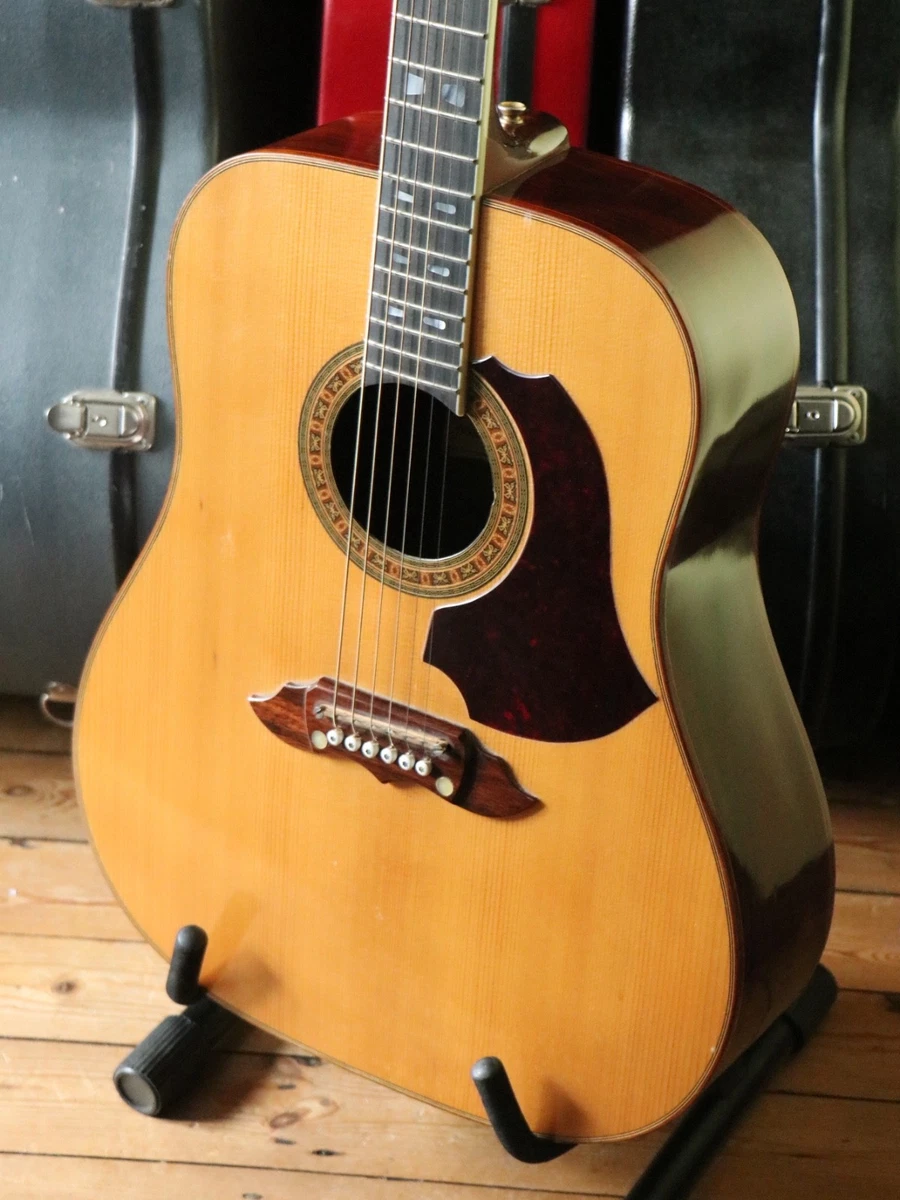 EKO 6 String Acoustic Guitars for sale | eBay