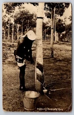 RPPC Man Tapping Rubber Tree Caribbean Plantation Vtg Real Photo Postcard 1938