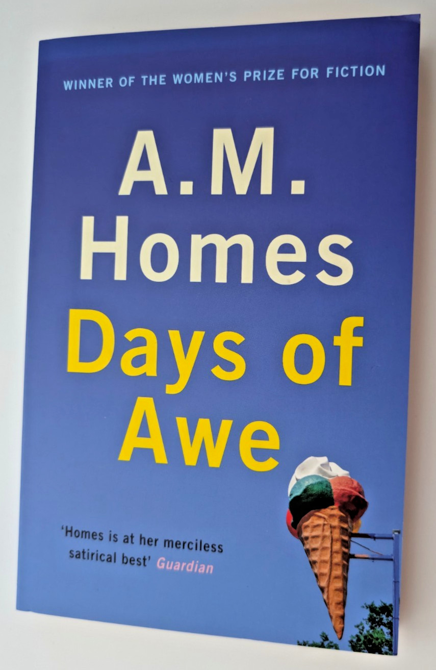 Days of Awe A M Homes 2019 Granta Paperback  Like New