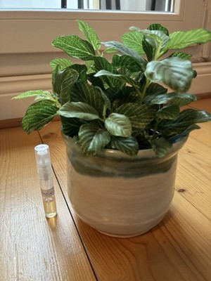 Ambre tabac Daniel Josier 4ml 