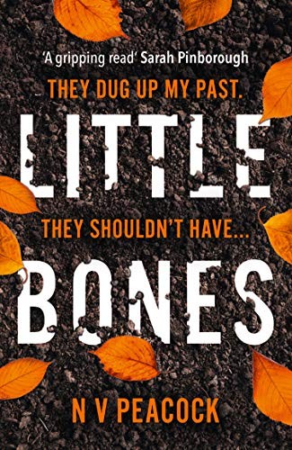 Little Bones: The most chilling serial killer thriller you’ll re