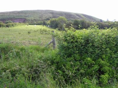 Photo 6x4 Foxhole Townland Craigtown Looking east c2009