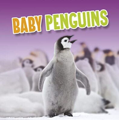 Baby Penguins by Martha E. H. Rustad 9781398224018 NEW Free UK Delivery