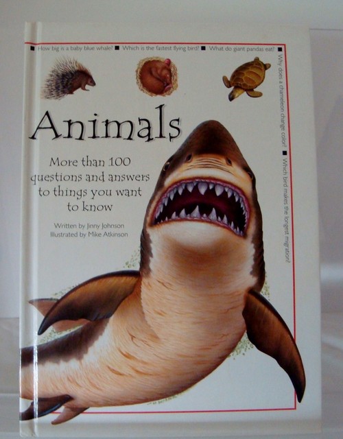 Animals (Questions & Answers) by Johnson, Jinny Hardback Book eBay