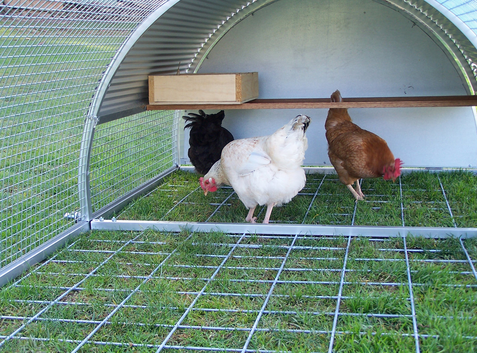 Metal Chicken Coop Aluminium Poultry House Tractor Royal Rooster