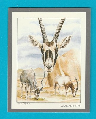GEFÄHRDETE WILDTIERE - ARABIAN ORYX + ADDAX - VICTORIA GALLERY - 1991