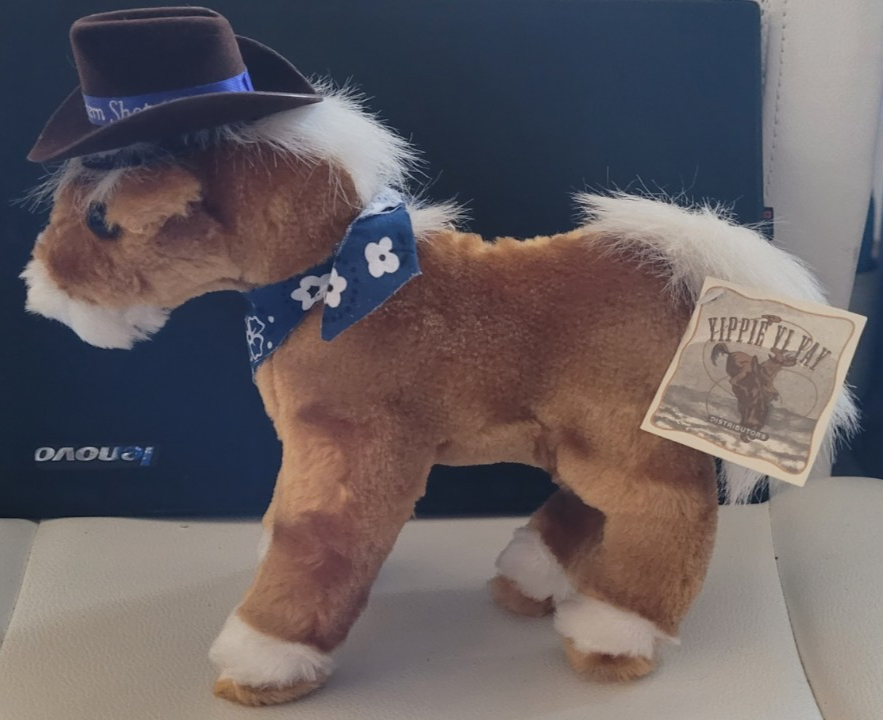 Cappello da cowboy Yippie Yi Yay marrone pony peluche nuovo con etichette a batteria carino