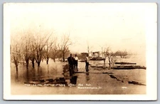 Levee After the Cut Shaneetown Illinois IL Flood 1913 Real Photo RPPC