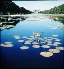 The Mall Washington DC - Stereo Realist Slide #805 - RBT mount