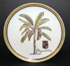 Raymond Waites Decorative Plates