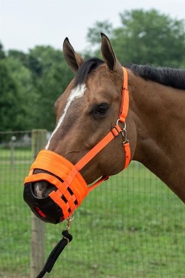 The Original Horse Grazing Muzzle - Black or Orange - 7 Sizes