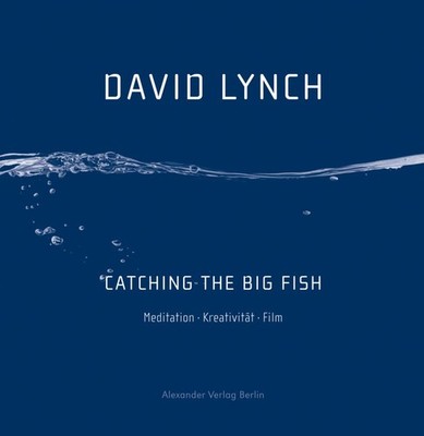 Catching the Big Fish: Meditation Kreativität Film