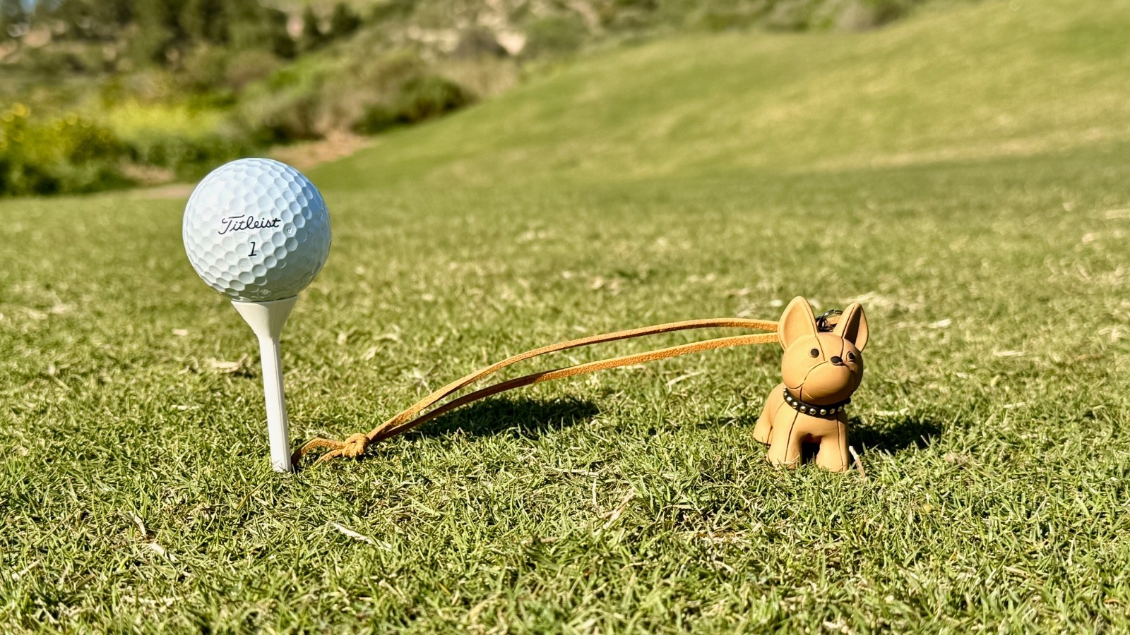 TeeLeash Golf Tee Holder w/Premium Martini Tee. Stop Losing Golf Tee. Funny Gift