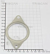 TRISCAN Gasket Seal 1231966