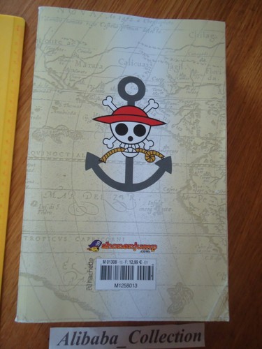 MANGA ONE PIECE LOG 13 Großformat Eiichiro Oda Sammlung Hachette VF Buch - Bild 3 von 4