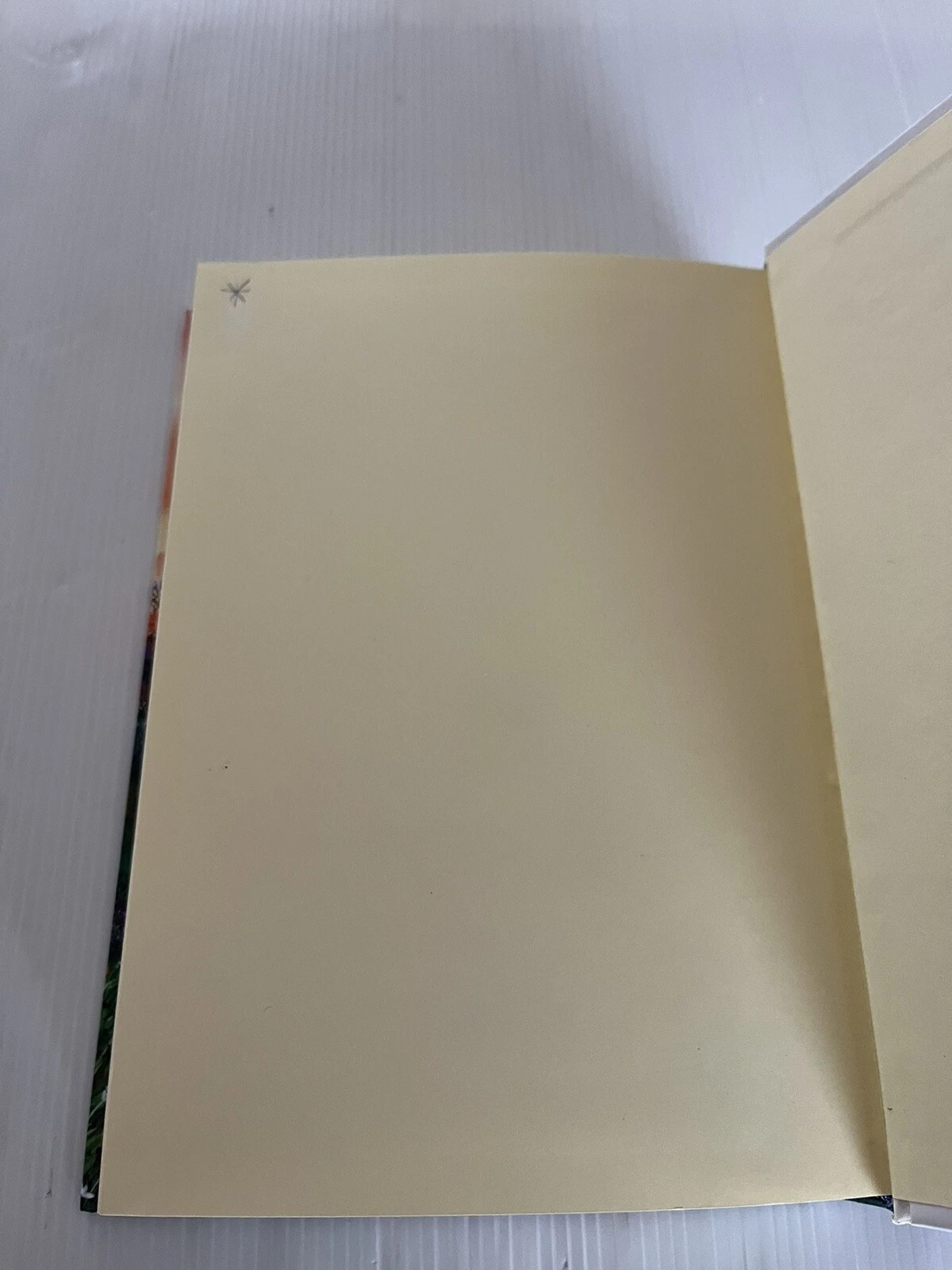 Picture 10 of 10