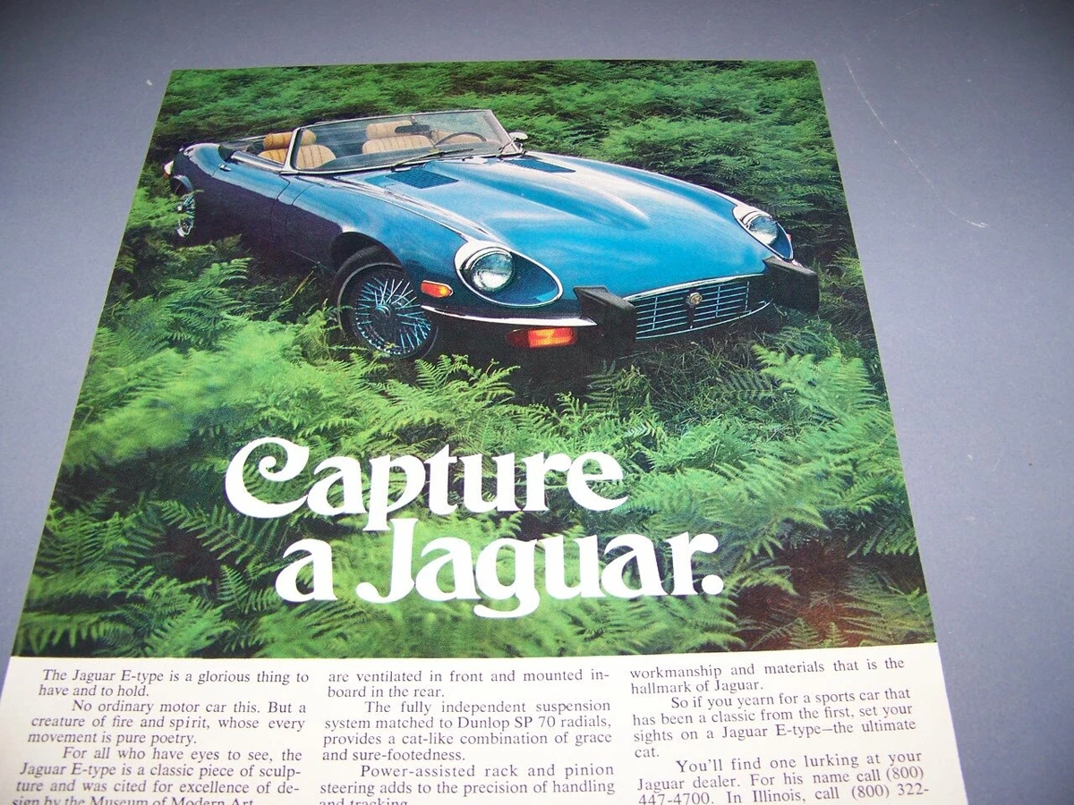 E type jaguar for sale ebay deals