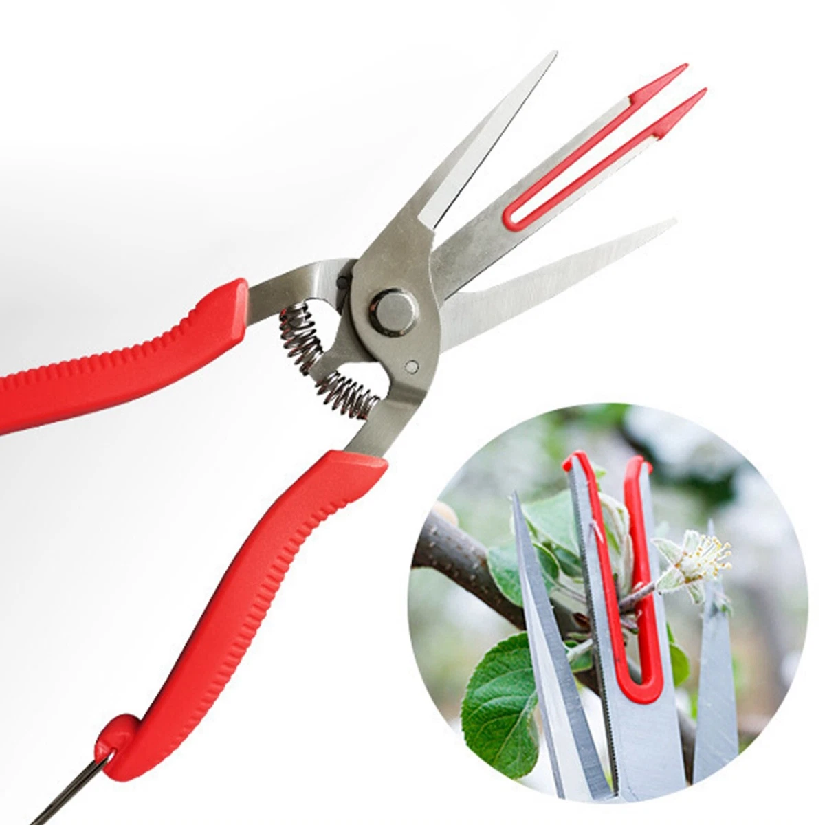Pruning snips clearance