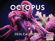 Octopus Calendar 2026 Monthly Wall Calender 12 Month
