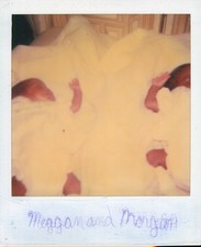 Old Vintage Photo COLOR POLAROID BAD CROP PAIR DUO BLACK AFRICAN AMERICAN BABIES