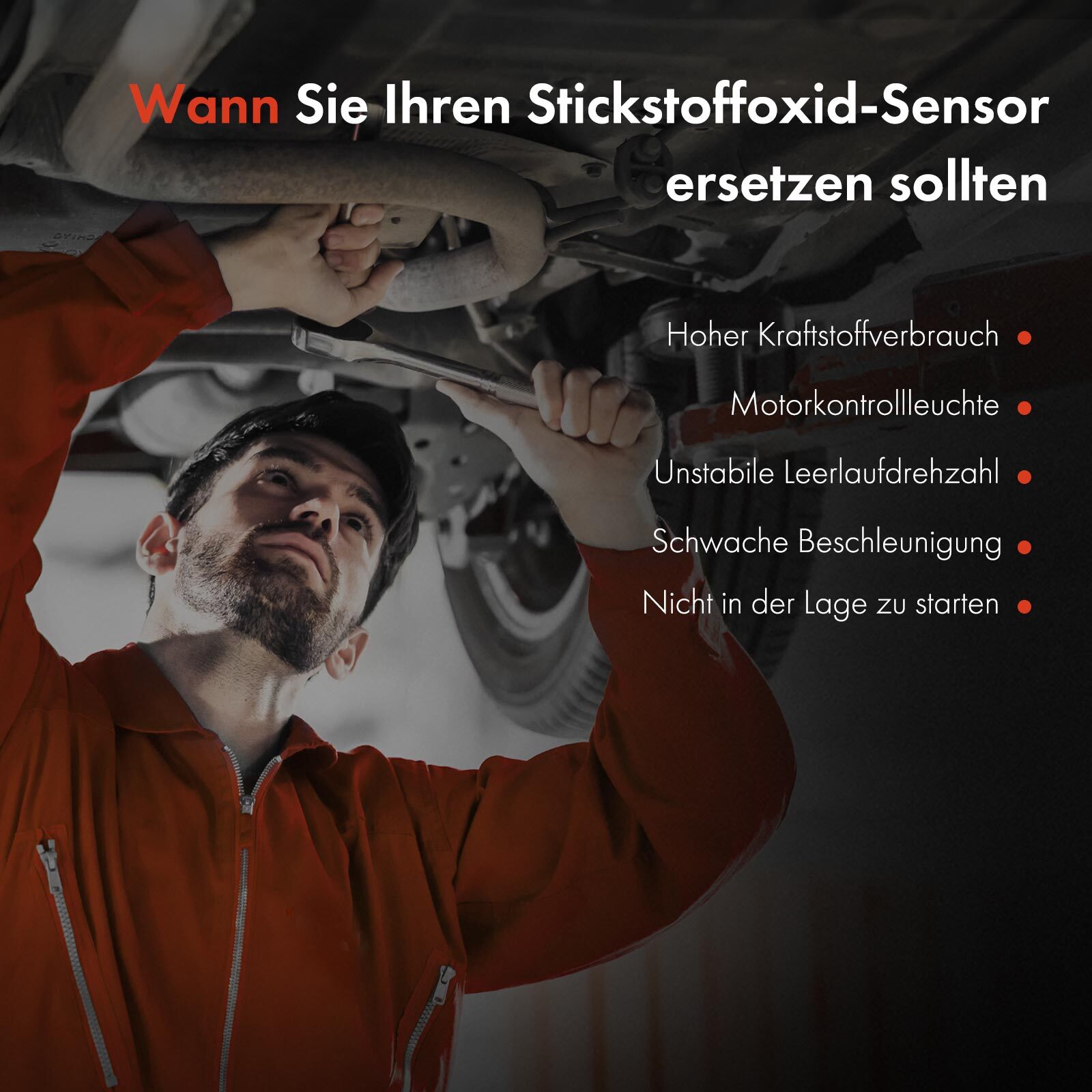 Bild 8 von 8