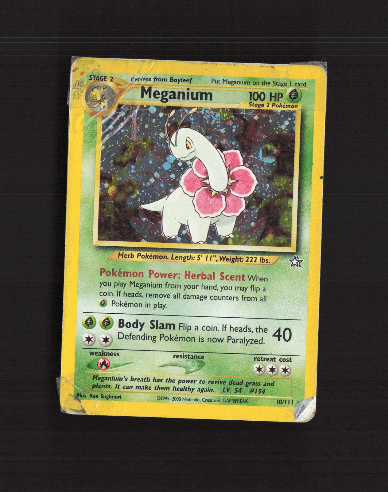 Meganium 10/111 Neo Genesis Holo Rare Pokemon Card DMG