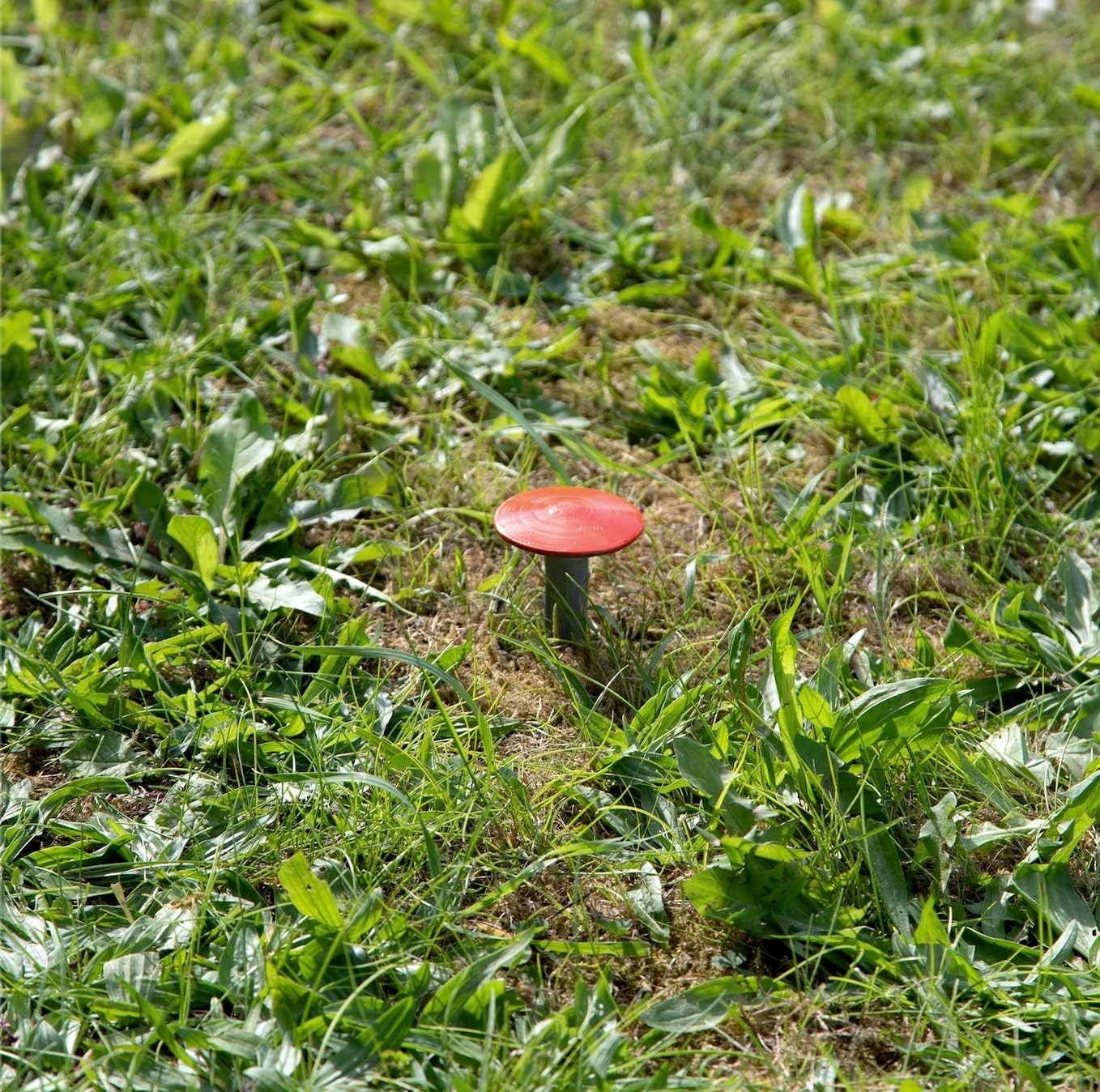 Survey Marker 4-Pack – Non-Obtrusive Stakes w/ Orange Caps + Canvas Storage Bag