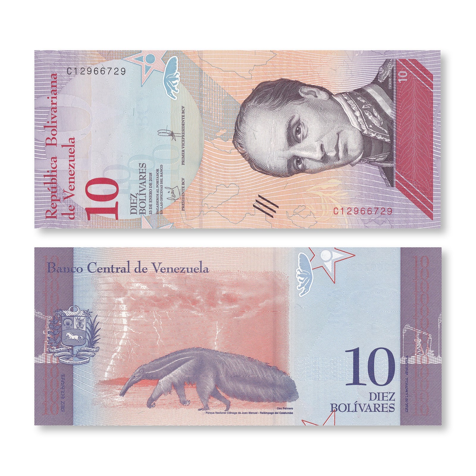 Foto 2 di 2