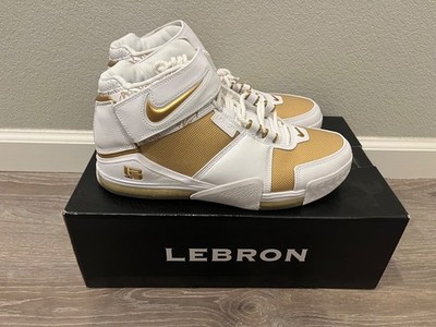 Size 11.5 - Nike Zoom Lebron 2 Retro 2022 Maccabi