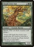 Lorwyn Cloudcrown Oak MTG Magic the Gathering NM
