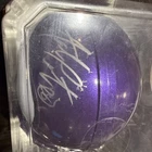 Minnesota Vikings Adrian Peterson Autographed Mini Helmet  Plastic Case