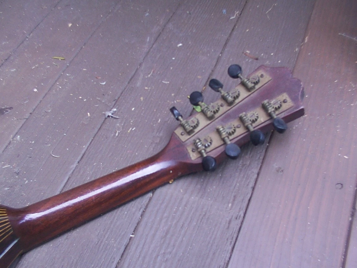 Picture 5 of 7