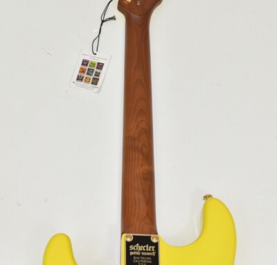 Schecter Tori Ruffin Freak Juice Burst Traditional Guitar B0163 | eBay