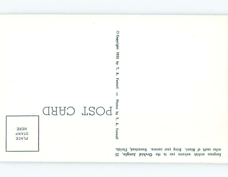 Pre1980 FLOWERS AT ORCHID JUNGLE Homestead Near Miami Florida FL