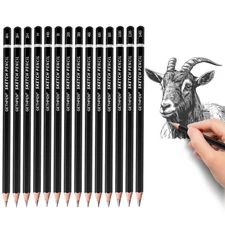 Sketch Pencil Set 14 Pack Graphite Pencils for Shading and Drawing