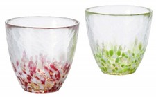 Tumbler Japanese glass beer cup Tsugaru vidro Apple Ringo set of 2 Japan