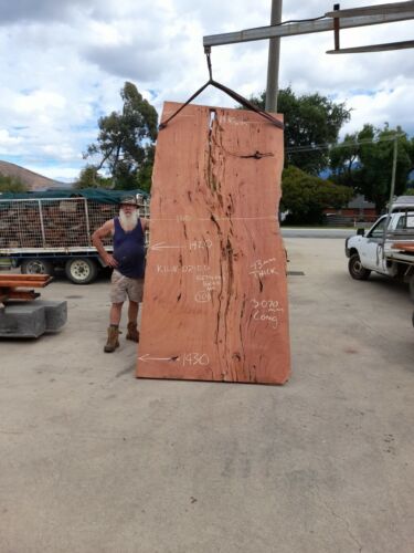 Timber Slab Redgum Kiln Dried Amazing Features Levelled Both Sides no 301