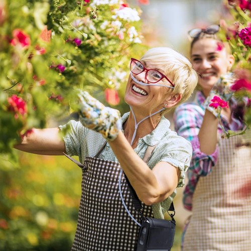 Inogen One G5 Replacement Column Pair RP-502 Rove 6 - Picture 7 of 12