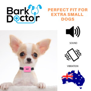 tiny dog bark collar