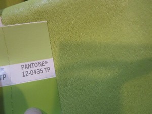 Granny Smith Apple Green Leather Skin Hide Remnant
