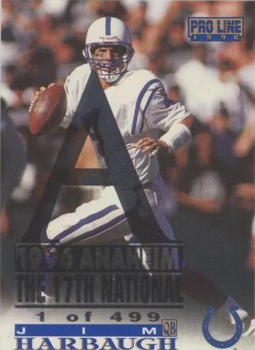 1996 Anaheim National