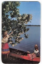 Postcard 1953 Florida White Oleanders, Ladies in Paddle Boat VTG VPC01.