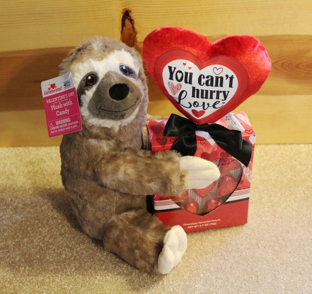 SLOTH PLUSH & CANDY Valentines Day Gift Set Brown Stuffed Animal with Chocolates eBay