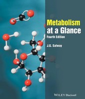 Metabolism At A Glance | J. G. Salway | Englisch | Taschenbuch | At A Glance