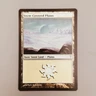 Snow-Covered Plains Lightly Played MTG Coldsnap Magic LP