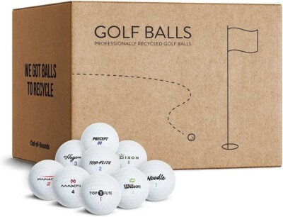 Out of Bounds | Lakeballs Mix | 100 STK. | Golfbälle | AAA/AA | Super Qualität
