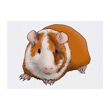 'Guinea Pig' Temporary Tattoos / Transfers TO00052344 